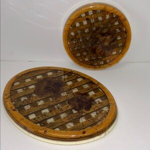 Vintage 1970’s set of 2 lucite trivets  with wood and dried florals encased USA